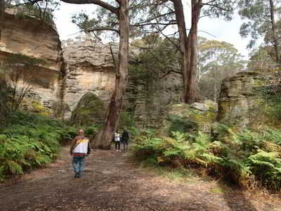 Newnes